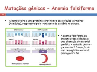 Mutações génicas – Anemia falsiforme A hemoglobina é uma proteína constituinte dos glóbulos vermelhos (hemácias), responsável pelo transporte de oxigénio no sangue. A anemia falsiforme ou drepanocitose é devida a uma alteração do material genético – mutação génica - que conduz à formação de uma hemoglobina anormal (hemoglobina S).  
