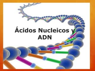 Ácidos Nucleicos y
ADN
 