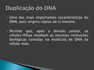 Uma das mais importantes características do DNA, pois origina cópias de si mesmo;Permite que, após a divisão celular, as células-filhas recebam as mesmas instruções biológicas contidas na molécula de DNA da célula-mãe;Duplicação do DNA