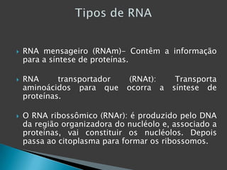RNA mensageiro (RNAm)- Contêm a informação para a síntese de proteínas.RNA transportador (RNAt): Transporta aminoácidos para que ocorra a síntese de proteínas.O RNA ribossômico (RNAr): é produzido pelo DNA da região organizadora do nucléolo e, associado a proteínas, vai constituir os nucléolos. Depois passa ao citoplasma para formar os ribossomos.Tipos de RNA