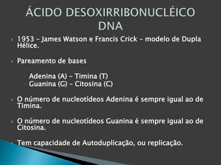 1953 – James Watson e Francis Crick – modelo de Dupla Hélice.Pareamento de bases  Adenina (A) – Timina (T) Guanina (G) – Citosina (C) O número de nucleotídeos Adenina é sempre igual ao de Timina.O número de nucleotídeos Guanina é sempre igual ao de Citosina. Tem capacidade de Autoduplicação, ou replicação. ÁCIDO DESOXIRRIBONUCLÉICODNA 