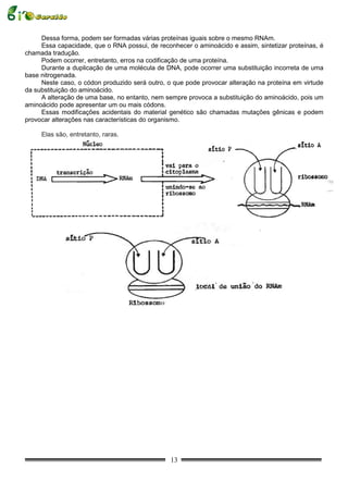 Dessa forma, podem ser formadas várias proteínas iguais sobre o mesmo RNAm.
     Essa capacidade, que o RNA possui, de reconhecer o aminoácido e assim, sintetizar proteínas, é
chamada tradução.
     Podem ocorrer, entretanto, erros na codificação de uma proteína.
     Durante a duplicação de uma molécula de DNA, pode ocorrer uma substituição incorreta de uma
base nitrogenada.
     Neste caso, o códon produzido será outro, o que pode provocar alteração na proteína em virtude
da substituição do aminoácido.
     A alteração de uma base, no entanto, nem sempre provoca a substituição do aminoácido, pois um
aminoácido pode apresentar um ou mais códons.
     Essas modificações acidentais do material genético são chamadas mutações gênicas e podem
provocar alterações nas características do organismo.

     Elas são, entretanto, raras.




                                                13
 