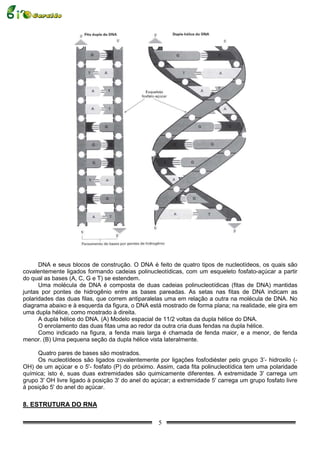 DNA e seus blocos de construção. O DNA é feito de quatro tipos de nucleotídeos, os quais são
covalentemente ligados formando cadeias polinucleotídicas, com um esqueleto fosfato-açúcar a partir
do qual as bases (A, C, G e T) se estendem.
      Uma molécula de DNA é composta de duas cadeias polinucleotídicas (fitas de DNA) mantidas
juntas por pontes de hidrogênio entre as bases pareadas. As setas nas fitas de DNA indicam as
polaridades das duas filas, que correm antiparalelas uma em relação a outra na molécula de DNA. No
diagrama abaixo e à esquerda da figura, o DNA está mostrado de forma plana; na realidade, ele gira em
uma dupla hélice, como mostrado à direita.
      A dupla hélice do DNA. (A) Modelo espacial de 11/2 voltas da dupla hélice do DNA.
      O enrolamento das duas fitas uma ao redor da outra cria duas fendas na dupla hélice.
      Como indicado na figura, a fenda mais larga é chamada de fenda maior, e a menor, de fenda
menor. (B) Uma pequena seção da dupla hélice vista lateralmente.

      Quatro pares de bases são mostrados.
      Os nucleotídeos são ligados covalentemente por ligações fosfodiéster pelo grupo 3’- hidroxilo (-
OH) de um açúcar e o 5'- fosfato (P) do próximo. Assim, cada fita polinucleotídica tem uma polaridade
química; isto é, suas duas extremidades são quimicamente diferentes. A extremidade 3' carrega um
grupo 3' OH livre ligado à posição 3' do anel do açúcar; a extremidade 5' carrega um grupo fosfato livre
à posição 5' do anel do açúcar.

8. ESTRUTURA DO RNA

                                                   5
 