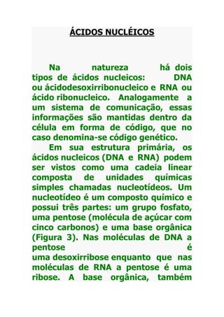 ÁCIDOS NUCLÉICOS



    Na        natureza        há dois
tipos de ácidos nucleicos:       DNA
ou ácidodesoxirribonucleico e RNA ou
ácido ribonucleico. Analogamente a
um sistema de comunicação, essas
informações são mantidas dentro da
célula em forma de código, que no
caso denomina-se código genético.
    Em sua estrutura primária, os
ácidos nucleicos (DNA e RNA) podem
ser vistos como uma cadeia linear
composta de unidades químicas
simples chamadas nucleotídeos. Um
nucleotídeo é um composto químico e
possui três partes: um grupo fosfato,
uma pentose (molécula de açúcar com
cinco carbonos) e uma base orgânica
(Figura 3). Nas moléculas de DNA a
pentose                             é
uma desoxirribose enquanto que nas
moléculas de RNA a pentose é uma
ribose. A base orgânica, também
 