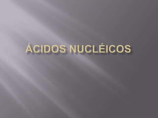 ácidos nucleicos - Biologia