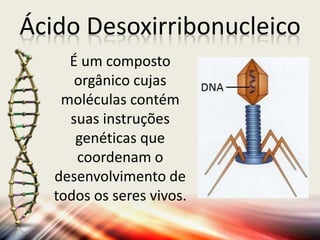 Ácido Desoxirribonucleico
É um composto
orgânico cujas
moléculas contém
suas instruções
genéticas que
coordenam o
desenvolvimento de
todos os seres vivos.
 