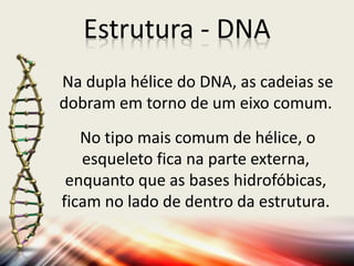 Estrutura - DNA
Na dupla hélice do DNA, as cadeias se
dobram em torno de um eixo comum.
No tipo mais comum de hélice, o
esqueleto fica na parte externa,
enquanto que as bases hidrofóbicas,
ficam no lado de dentro da estrutura.
 