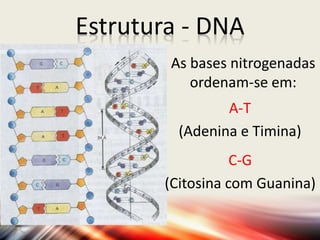 Estrutura - DNA
As bases nitrogenadas
ordenam-se em:
A-T
(Adenina e Timina)
C-G
(Citosina com Guanina)
 