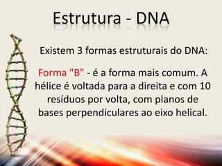 Estrutura - DNA
Forma "B" - é a forma mais comum. A
hélice é voltada para a direita e com 10
resíduos por volta, com planos de
bases perpendiculares ao eixo helical.
Existem 3 formas estruturais do DNA:
 