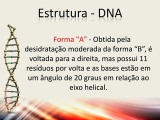 Estrutura - DNA
Forma "A" - Obtida pela
desidratação moderada da forma “B”, é
voltada para a direita, mas possui 11
resíduos por volta e as bases estão em
um ângulo de 20 graus em relação ao
eixo helical.
 