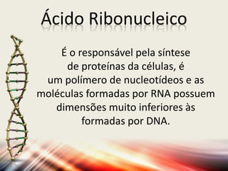 É o responsável pela síntese
de proteínas da células, é
um polímero de nucleotídeos e as
moléculas formadas por RNA possuem
dimensões muito inferiores às
formadas por DNA.
Ácido Ribonucleico
 