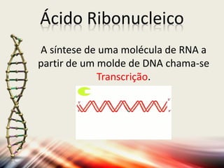 A síntese de uma molécula de RNA a
partir de um molde de DNA chama-se
Transcrição.
Ácido Ribonucleico
 