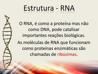 O RNA, é como a proteína mas não
como DNA, pode catalisar
importantes reações biológicas.
As moléculas de RNA que funcionam
como proteínas enzimáticas são
chamadas de ribozimas.
Estrutura - RNA
 