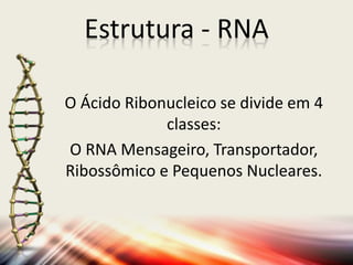 O Ácido Ribonucleico se divide em 4
classes:
O RNA Mensageiro, Transportador,
Ribossômico e Pequenos Nucleares.
Estrutura - RNA
 
