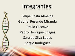 Integrantes:
Felipe Costa Almeida
Gabriel Resende Miranda
Paulo Gustavo
Pedro Henrique Chagas
Sara da Silva Lopes
Sérgio Rodrigues
 