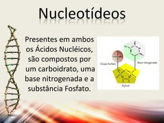 Nucleotídeos
Presentes em ambos
os Ácidos Nucléicos,
são compostos por
um carboidrato, uma
base nitrogenada e a
substância Fosfato.
 