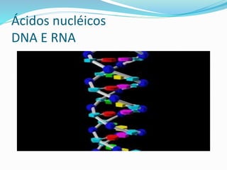 Ácidos nucléicos 
DNA E RNA 
 