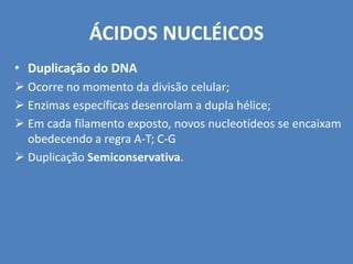 ÁCIDOS NUCLÉICOS
• Duplicação do DNA
 Ocorre no momento da divisão celular;
 Enzimas específicas desenrolam a dupla hélice;
 Em cada filamento exposto, novos nucleotídeos se encaixam
obedecendo a regra A-T; C-G
 Duplicação Semiconservativa.
 