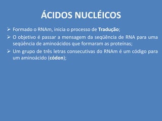 ÁCIDOS NUCLÉICOS
 Formado o RNAm, inicia o processo de Tradução;
 O objetivo é passar a mensagem da seqüência de RNA para uma
seqüência de aminoácidos que formaram as proteínas;
 Um grupo de três letras consecutivas do RNAm é um código para
um aminoácido (códon);
 