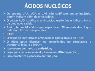 ÁCIDOS NUCLÉICOS
 Os códons UAA, UGA e UAG não codificam um aminoácido,
porém indicam o fim de uma cadeia;
 O códon AUG, codifica o aminoácido metionina e indica o início
de uma nova cadeia;
 Assim, temos 61 códons que especificam 20 aminoácidos, 3 que
indicam o fim de uma proteína.
• RANt
 O códon só identifica os aminoácidos com o auxílio do RNAt;
 O RNAt pode dissolver os aminoácidos no citoplasma e
transportá-lo para o RNAm;
 Isso ocorre por meio do anticódon;
 Logo, para cada aminoácido, haverá um RNAt específico;
 Isso caracteriza o processo da tradução.
 