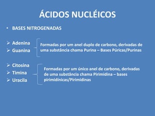 ÁCIDOS NUCLÉICOS
• BASES NITROGENADAS
 Adenina
 Guanina
 Citosina
 Timina
 Uracila
Formadas por um anel duplo de carbono, derivadas de
uma substância chama Purina – Bases Púricas/Purinas
Formadas por um único anel de carbono, derivadas
de uma substância chama Pirimidina – bases
pirimidínicas/Pirimidinas
 