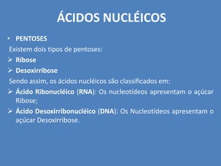 ÁCIDOS NUCLÉICOS
• PENTOSES
Existem dois tipos de pentoses:
 Ribose
 Desoxirribose
Sendo assim, os ácidos nucléicos são classificados em:
 Ácido Ribonucléico (RNA): Os nucleotídeos apresentam o açúcar
Ribose;
 Ácido Desoxirribonucléico (DNA): Os Nucleotídeos apresentam o
açúcar Desoxirribose.
 