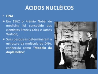 ÁCIDOS NUCLÉICOS
• DNA
 Em 1962 o Prêmio Nobel de
medicina foi concedido aos
cientistas Francis Crick e James
Watson;
 Suas pesquisas determinaram a
estrutura da molécula do DNA,
conhecida como “Modelo da
dupla hélice”
 