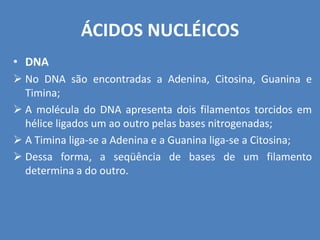 ÁCIDOS NUCLÉICOS
• DNA
 No DNA são encontradas a Adenina, Citosina, Guanina e
Timina;
 A molécula do DNA apresenta dois filamentos torcidos em
hélice ligados um ao outro pelas bases nitrogenadas;
 A Timina liga-se a Adenina e a Guanina liga-se a Citosina;
 Dessa forma, a seqüência de bases de um filamento
determina a do outro.
 