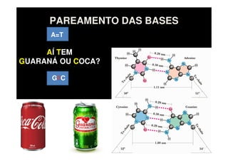 PAREAMENTO DAS BASES
A=T
G C
AÍ TEM
GUARANÁ OU COCA?
 
