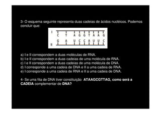 3- O esquema seguinte representa duas cadeias de ácidos nucléicos. Podemos
concluir que:
a) I e II correspondem a duas moléculas de RNA.
b) I e II correspondem a duas cadeias de uma molécula de RNA.
c) I e II correspondem a duas cadeias de uma molécula de DNA.
d) I corresponde a uma cadeia de DNA e II a uma cadeia de RNA.
e) I corresponde a uma cadeia de RNA e II a uma cadeia de DNA.
4- Se uma fita de DNA tiver constituição ATAAGCGTTAG, como será a
CADEIA complementar de DNA?
 