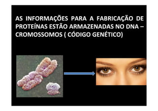 AS INFORMAÇÕES PARA A FABRICAÇÃO DE
PROTEÍNAS ESTÃO ARMAZENADAS NO DNA –
CROMOSSOMOS ( CÓDIGO GENÉTICO)
 