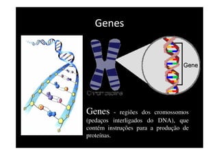 Genes
Genes - regiões dos cromossomos
(pedaços interligados do DNA), que
contém instruções para a produção de
proteínas.
 