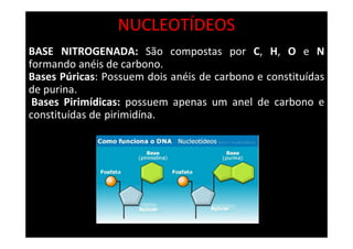 NUCLEOTÍDEOS
BASE NITROGENADA: São compostas por C, H, O e N
formando anéis de carbono.
Bases Púricas: Possuem dois anéis de carbono e constituídas
de purina.
Bases Pirimídicas: possuem apenas um anel de carbono e
constituídas de pirimidína.
 
