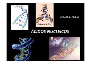 ÁCIDOS NUCLEICOS
UNIDADE 3 – PÁG 38
 