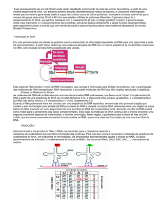 Esse processamento de um pré-RNAm pode variar, resultando na formação de mais de um tipo de proteína, a partir de uma
mesma seqüência de DNA. Um exemplo extremo descrito recentemente na mosca-da-banana, a Drosophila melanogaster,
revela que um mesmo gene desse inseto é capaz de codificar cerca de 38 mil proteínas. Na espécie humana, estima-se que o
número de genes varie entre 30 mil e 40 mil e que existam milhões de proteínas diferentes. O primeiro passo foi o
seqüenciamento do DNA, que ganhou destaque com o mapeamento de todo o código genético humano. A próxima etapa,
ainda mais importante, é o sequenciamento das proteínas, estruturas ligadas diretamente a várias funções desempenhadas
pelo organismo humano e animal, que vem sendo discutida e posta em prática pelos mais modernos laboratórios do mundo
(Projeto Proteonoma).
Transcrição do DNA
Em uma primeira etapa da síntese de proteína ocorre a transcrição da informação depositada no DNA para uma cópia feita a partir
de ribonucleotídeos. A partir disso, obtém-se uma molécula alongada de RNA com a mesma seqüência de nucleotídeos observada
no DNA, com exceção da base timina substituída pela uracila.
Esta cópia de DNA recebe o nome de RNA mensageiro, que carrega a informação para síntese de proteínas, com a participação
das moléculas de RNA transportador, RNA ribossomal, e de outras moléculas de RNA que têm funções estruturais e catalíticas.
Síntese da Molécula do RNAm
As moléculas de RNA são sintetizadas por enzimas denominadas RNA polimerases, que fazem uma “cópia” (complementar) de
RNA a partir de uma seqüência de DNA. Se no DNA tínhamos ATC, a cópia será UAG, porque, já sabemos, o U complementa A
(no RNA não temos timina), o A complementa o T e o G complementa o C.
Quando a RNA polimerase entra em contato com uma seqüência de DNA especifica, denominada sítio promotor (região que
contém o sítio de iniciação para síntese de RNA) a síntese do RNA é iniciada. A enzima RNA polimerase abre uma região na dupla
hélice do DNA, expondo um curto seguimento de uma das fitas do DNA aos nucleotídeos livres. Somente uma fita de DNA atuará
como molde para o pareamento das bases complementares. Esta cópia da molécula de DNA continua até a enzima encontrar uma
segunda seqüência especial de nucleotídeos, o sinal de terminação. Nesta região, a polimerase pára e libera as fitas de DNA
molde, que enrola-se novamente e a recém formada cadeia de RNA, que é uma cópia de fita simples de uma das duas fitas de
DNA.
TRADUÇÃO
Após terminada a transcrição do DNA, o RNAm sai do núcleo para o citoplasma, levando a
seqüência de nucleotídeos que permitirá a formação das proteínas. Para que isso ocorra é necessário a tradução da seqüência de
nucleotídeos do RNAm em seqüência de aminoácidos. Os aminoácidos são transferidos ligados a trincas de RNAt, as quais
denominaremos de anticódon, complementares às trincas de RNAm. As trincas do RNAm (AUU, AGC,UAU, ...) chamaremos de
códons.
 