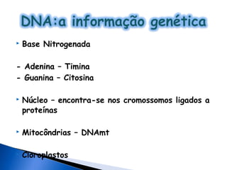    Base Nitrogenada

- Adenina – Timina
- Guanina – Citosina

   Núcleo – encontra-se nos cromossomos ligados a
    proteínas

   Mitocôndrias – DNAmt

   Cloroplastos
 