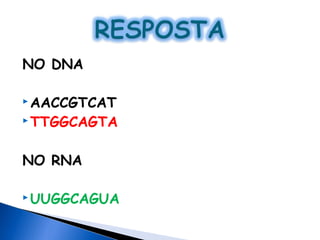 NO DNA

 AACCGTCAT

 TTGGCAGTA



NO RNA

 UUGGCAGUA
 