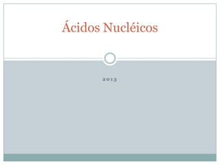2 0 1 3
Ácidos Nucléicos