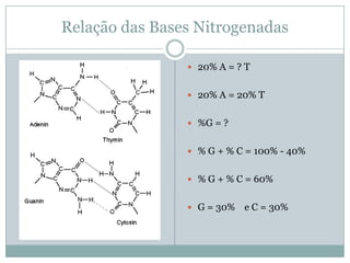 Relação das Bases Nitrogenadas
20% A = ? T
20% A = 20% T
%G = ?
% G + % C = 100% - 40%
% G + % C = 60%
G = 30% e C = 30%