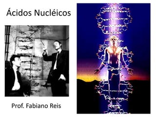 Ácidos Nucléicos Prof. Fabiano Reis 