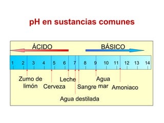 pH en sustancias comunes
ÁCIDO BÁSICO
141 2 3 4 6 8 9 10 11 12 135 7
Zumo de
limón Cerveza
Leche
Sangre
Agua
mar Amoniaco
Agua destilada
 