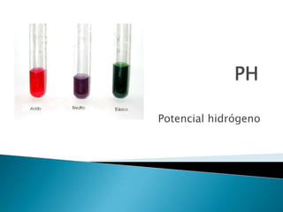 Las bases son sustancias que  al disociarse en agua dejan en libertad iones hidroxilo (OH)1-KOH            K1+     +  (OH)1-