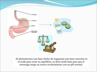 Al administrarse una base (leche de magnesia) este hace reacción en el acido para crear un equilibrio, es decir ácido base para que el estomago tenga un nuevo recubrimiento con un pH normal.