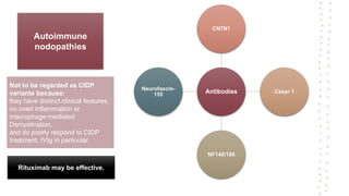 Autoimmune
nodopathies
Antibodies
CNTN1
Caspr 1
NF140/186
Neurofascin-
155
Not to be regarded as CIDP
variants because:
they have distinct clinical features,
no overt inflammation or
macrophage-mediated
Demyelination,
and do poorly respond to CIDP
treatment, IVIg in particular.
Rituximab may be effective.
 