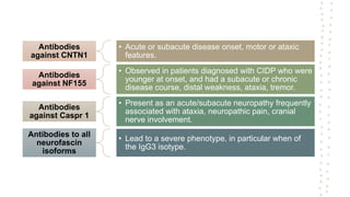 Antibodies
against CNTN1
• Acute or subacute disease onset, motor or ataxic
features.
Antibodies
against NF155
• Observed in patients diagnosed with CIDP who were
younger at onset, and had a subacute or chronic
disease course, distal weakness, ataxia, tremor.
Antibodies
against Caspr 1
• Present as an acute/subacute neuropathy frequently
associated with ataxia, neuropathic pain, cranial
nerve involvement.
Antibodies to all
neurofascin
isoforms
• Lead to a severe phenotype, in particular when of
the IgG3 isotype.
 