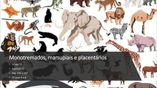 Monotremados, marsupiais e placentários
• Grupo 11
• Capítulo 21
• Pág. 330 a 337
• 7º anos A e B
 