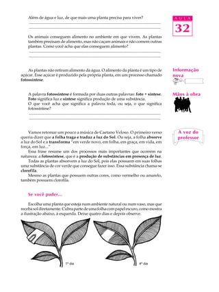 Além de água e luz, de que mais uma planta precisa para viver?                                                                        A U L A
    ..................................................................................................................................
    ..................................................................................................................................
                                                                                                                                          32
    Os animais conseguem alimento no ambiente em que vivem. As plantas
    também precisam de alimento, mas não caçam animais e não comem outras
    plantas. Como você acha que elas conseguem alimento?
     ..................................................................................................................................
     ..................................................................................................................................


    As plantas não retiram alimento da água. O alimento da planta é um tipo de                                                            Informação
açúcar. Esse açúcar é produzido pela própria planta, em um processo chamado                                                               nova
fotossíntese.


    A palavra fotossíntese é formada por duas outras palavras: foto + síntese.                                                            Mãos à obra
    Foto significa luz e síntese significa produção de uma substância.
    O que você acha que significa a palavra toda, ou seja, o que significa
    fotossíntese?
     ..................................................................................................................................
     ..................................................................................................................................


    Vamos retomar um pouco a música de Caetano Veloso. O primeiro verso                                                                     A voz do
queria dizer que a folha traga e traduz a luz do Sol. Ou seja, a folha absorve                                                              professor
a luz do Sol e a transforma “em verde novo, em folha, em graça, em vida, em
força, em luz...”
    Essa frase resume um dos processos mais importantes que ocorrem na
natureza: a fotossíntese, que é a produção de substâncias em presença de luz.
    Todas as plantas absorvem a luz do Sol, pois elas possuem em suas folhas
uma substância de cor verde que consegue fazer isso. Essa substância chama-se
clorofila.
    Mesmo as plantas que possuem outras cores, como vermelho ou amarelo,
também possuem clorofila.


    Se você puder...

     Escolha uma planta que esteja num ambiente natural ou num vaso, mas que
receba sol diretamente. Cubra parte de uma folha com papel escuro, como mostra
a ilustração abaixo, à esquerda. Deixe quatro dias e depois observe.




                                        1º dia                                                                   4º dia
 