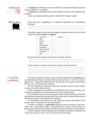 Informação
    A U L A      Os papéis são fabricados a partir de fibras da madeira retirada de árvores
       nova   como o pinheiro e o eucalipto.

   33            Os tecidos são originários de diversas matérias-primas, como algodão, por
              exemplo.
                 Como você pode perceber, papéis e tecidos têm origem vegetal.


Mãos à obra       Você acha que a jaguatirica e a lagartixa dependem da fotossíntese?
                  Explique.
                  ..................................................................................................................................
                  ..................................................................................................................................

                  Na tabela a seguir estão indicados alguns alimentos. Escreva ao lado deles
                  se são de origem animal ou vegetal.
                                            ALIMENTO                                   ORIGEM
                                            bife
                                            açúcar
                                            fruta
                                            filé de peixe
                                            manteiga
                                            frango assado
                                            macarrão
                                            pão

                  De que animais vieram os alimentos de origem animal?
                  ..................................................................................................................................
                  ..................................................................................................................................

                  O que comem os animais que deram origem a esses alimentos?
                  ..................................................................................................................................
                  ..................................................................................................................................
                  ..................................................................................................................................
                  ..................................................................................................................................

A voz do          De maneira direta ou indireta, todos os animais dependem das plantas para
professor     sua alimentação. Mesmo animais estritamente carnívoros - como as onças e
              jaguatiricas - dependem indiretamente das plantas, pois comem animais que,
              por sua vez, se alimentam de vegetais.
                  Os seres humanos consomem alimentos variados: cereais, raízes, folhas,
              carnes, ovos, leite e derivados etc.
                  Desde o surgimento dos primeiros hominídeos (seres vivos parecidos com
              o homem atual), havia a preocupação em relação à alimentação.
                  Esses primeiros seres viviam em grupos e não tinham local fixo de moradia,
              pois precisavam seguir os animais para caçar. Quando os animais deixavam um
              determinado local, os hominídeos os seguiam.
                  Os hominídeos não plantavam, mas utilizavam partes de plantas, como
              frutos, raízes e sementes, em sua alimentação.
                  O cultivo de plantas ou agricultura surgiu há mais ou menos 10 mil anos.
              Junto com a agricultura surgiu a domesticação de animais. Dessa forma, as
              pessoas não precisavam mais caçar quando necessitavam de carne, couro, leite etc.
                  O Sol é a grande fonte de energia que dá origem às plantas. As plantas são
              a base para todos os seres vivos, em termos de alimentação.
 