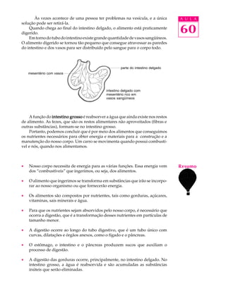 Às vezes acontece de uma pessoa ter problemas na vesícula, e a única        A U L A
solução pode ser retirá-la.
    Quando chega ao final do intestino delgado, o alimento está praticamente
digerido.                                                                          60
    Em torno do tubo do intestino existe grande quantidade de vasos sangüíneos.
O alimento digerido se tornou tão pequeno que consegue atravessar as paredes
do intestino e dos vasos para ser distribuído pelo sangue para o corpo todo.



                                                      parte do intestino delgado
    mesentério com vasos




                                              intestino delgado com
                                              mesentério rico em
                                              vasos sangüíneos




    A função do intestino grosso é reabsorver a água que ainda existe nos restos
de alimento. As fezes, que são os restos alimentares não aproveitados (fibras e
outras substâncias), formam-se no intestino grosso.
    Portanto, podemos concluir que é por meio dos alimentos que conseguimos
os nutrientes necessários para obter energia e materiais para a construção e a
manutenção do nosso corpo. Um carro se movimenta quando possui combustí-
vel e nós, quando nos alimentamos.



·   Nosso corpo necessita de energia para as várias funções. Essa energia vem      Resumo
    dos “combustíveis” que ingerimos, ou seja, dos alimentos.

·   O alimento que ingerimos se transforma em substâncias que irão se incorpo-
    rar ao nosso organismo ou que fornecerão energia.

·   Os alimentos são compostos por nutrientes, tais como gorduras, açúcares,
    vitaminas, sais minerais e água.

·   Para que os nutrientes sejam absorvidos pelo nosso corpo, é necessário que
    ocorra a digestão, que é a transformação desses nutrientes em partículas de
    tamanho menor.

·   A digestão ocorre ao longo do tubo digestivo, que é um tubo único com
    curvas, dilatações e órgãos anexos, como o fígado e o pâncreas.

·   O estômago, o intestino e o pâncreas produzem sucos que auxiliam o
    processo de digestão.

·   A digestão das gorduras ocorre, principalmente, no intestino delgado. No
    intestino grosso, a água é reabsorvida e são acumuladas as substâncias
    inúteis que serão eliminadas.
 