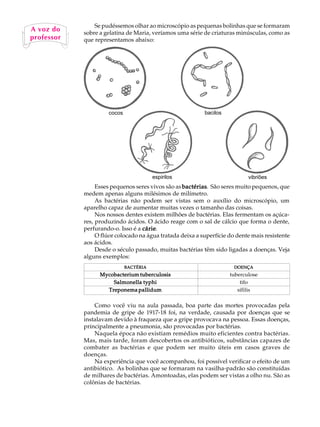 Se pudéssemos olhar ao microscópio as pequenas bolinhas que se formaram
A vozUdo A
   A    L
             sobre a gelatina de Maria, veríamos uma série de criaturas minúsculas, como as

   69
professor    que representamos abaixo:




                      cocos                                 bacilos




                                         espirilos                           vibriões
                  Esses pequenos seres vivos são as bactérias São seres muito pequenos, que
                                                    bactérias.
             medem apenas alguns milésimos de milímetro.
                  As bactérias não podem ser vistas sem o auxílio do microscópio, um
             aparelho capaz de aumentar muitas vezes o tamanho das coisas.
                  Nos nossos dentes existem milhões de bactérias. Elas fermentam os açúca-
             res, produzindo ácidos. O ácido reage com o sal de cálcio que forma o dente,
                                    cárie.
             perfurando-o. Isso é a cárie
                  O flúor colocado na água tratada deixa a superfície do dente mais resistente
             aos ácidos.
                  Desde o século passado, muitas bactérias têm sido ligadas a doenças. Veja
             alguns exemplos:
                              BACTÉRIA                                  DOENÇA
                   Mycobacterium tuberculosis                         tuberculose
                       Salmonella typhi                                   tifo
                     Treponema pallidum                                  sífilis

                 Como você viu na aula passada, boa parte das mortes provocadas pela
             pandemia de gripe de 1917-18 foi, na verdade, causada por doenças que se
             instalavam devido à fraqueza que a gripe provocava na pessoa. Essas doenças,
             principalmente a pneumonia, são provocadas por bactérias.
                 Naquela época não existiam remédios muito eficientes contra bactérias.
             Mas, mais tarde, foram descobertos os antibióticos, substâncias capazes de
             combater as bactérias e que podem ser muito úteis em casos graves de
             doenças.
                 Na experiência que você acompanhou, foi possível verificar o efeito de um
             antibiótico. As bolinhas que se formaram na vasilha-padrão são constituídas
             de milhares de bactérias. Amontoadas, elas podem ser vistas a olho nu. São as
             colônias de bactérias.
 